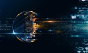 Why Crypto Project Transparency Matters