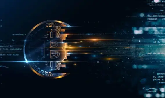 Why Crypto Project Transparency Matters